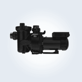 Jandy Vs FloPro Variable-Speed Pump 1.65 Hp 230v