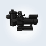 Jandy Vs FloPro Variable-Speed Pump 1.65 Hp 230v